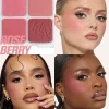 پالت رژگونه هدی بیوتی مدل Blush Filter Blurring Blushlighters